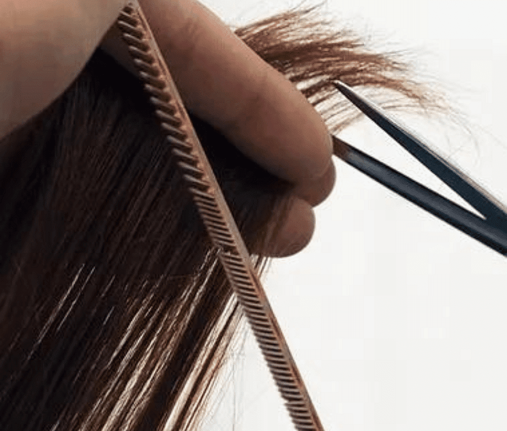 stylist hands holding hair, comb, and shears
